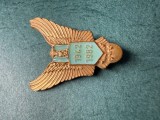 Insigna aniversara Aviatie Militara Romania 1942 - 1982 RSR 40 ani