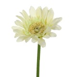 Floare decorativa artificiala, Gerbera, Crem, 28 cm, ATU-087927, Oem