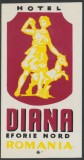 Romania anii 80 - Vigneta de bagaje Hotel DIANA (tip 2) din Eforie Nord, ONT Carpati, eticheta hoteliera, promovare turistica
