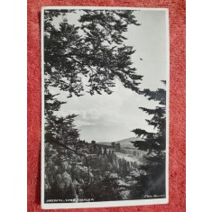 Carte postala, Prtedeal spre Cioplea, 1938