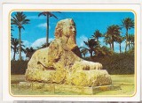 bnk cp Egipt - Giza- Sfinxul de la Sakkara - necirculata