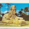 bnk cp Egipt - Giza- Sfinxul de la Sakkara - necirculata