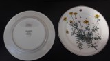 Set două farfurii &icirc;ntinse, Villeroy and Bosch, Botanica