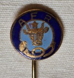 Asociatia filatelistilor din Romania AFR - insigna din anii 1970 ( Republica Socialista Romania)