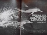 Whales, Dolphins and Man - Jacqueline Nayman (6)