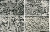 Set carti postale 12 + 1 Columna lui Traian Editura Meridian necirculate calitate foto, Dupa 1950