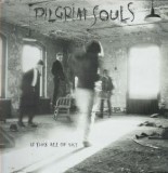 VINIL Pilgrim Souls &lrm;&ndash; Is This All Of Us? (VG+), Rock