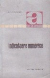 Indicatoare numerice (traducere din limba rusa)