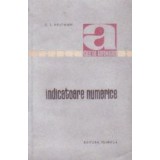 Indicatoare numerice (traducere din limba rusa)