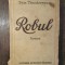 Robul - Dem. Theodorescu
