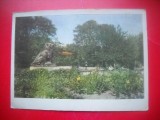 HOPCT 16924 GRADINA PUBLICA IN 1956 -ODESSA - UCRAINA--EUROPA -CIRCULATA