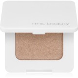 RMS Beauty Back2Brow pudră pentru spr&acirc;ncene culoare Light 3,5 g