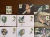 Craciunului - pasari - serie 4 timbre MNH, 4 FDC, 4 maxime, fauna wwf