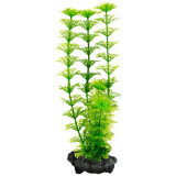 Plant Tetra Ambulia, S - 15cm