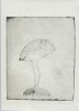 Gravura Stefan Caltia - Proba Carte II, 20.5x24.5 cm, Semnata, Certificat Autenticitate