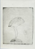 Gravura Stefan Caltia - Proba Carte II, 20.5x24.5 cm, Semnata, Certificat Autenticitate