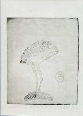 Stefan Caltia (1942 - ) - Proba la cartea a II a foto