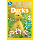 National Geographic Readers: Ducks (Pre-Reader)