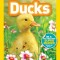 National Geographic Readers: Ducks (Pre-Reader)