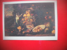 HOPCT 68196 FRUCTE/ FRANS SNYDERS -CP PICTURA-FRANTA-NECIRCULATA foto