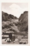 RF95 - Carte Postala - Muntii Fagaras, Cabana si lacul Podragu, necirculata