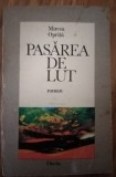 Pasarea de lut - Mircea Oprita