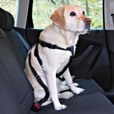 Ham auto de protec?ie pentru caini - L, 70-90 cm foto