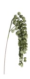 Cumpara ieftin Set 12 crengute Eucalipt artificial verde 32x92h