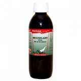 SIROP MULTIPLANT 250ml FAVISAN