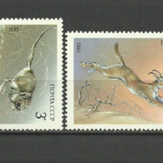 URSS 1985 - Fauna, animale, serie neuzata