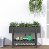 Cumpara ieftin Strat &icirc;nălțat de grădină, gri, 101x30x69 cm, lemn masiv de pin