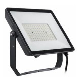 Proiector LED 100W 4000K IP65 BVP008 - PHILIPS PILA