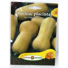 Seminte dovleac de copt Waltham Butternut 5 gr, Prima Sementi foto