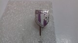 insigna CSM Caransebes