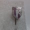insigna CSM Caransebes