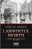 Labirintul mortii - Petre Gr. Ionascu