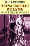 Taina calului de lemn - Paperback brosat - D.H. Lawrence - Orizonturi