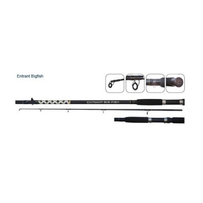 Lanseta Carp Zoom Entrant Bigfish EBF 3.00m, 200-500g foto