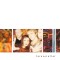 Foreverafter - Foreverafter, CD