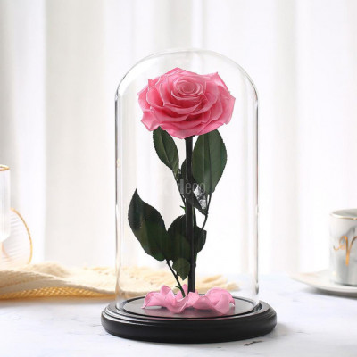 Trandafir Criogenat premium roz &amp;Oslash;8cm in cupola 12x25cm foto