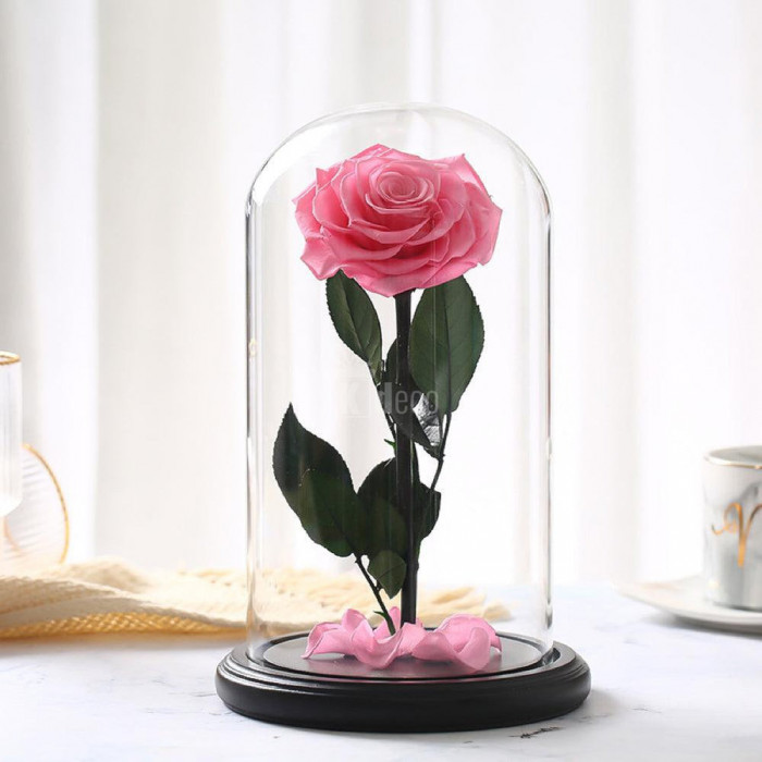 Trandafir Criogenat premium roz &Oslash;8cm in cupola 12x25cm