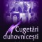 Cugetari duhovnicesti. Volumul II