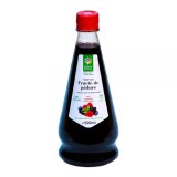 Sirop fructe de padure 520ml Santo Raphael