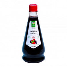 Sirop fructe de padure 520ml santo raphael