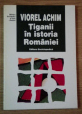 Tiganii in istoria Romaniei / Viorel Achim foto
