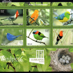 BRAZILIA 2009, Fauna, Pasari, MNH, serie neuzata