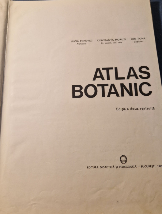 Atlas botanic Lucia Popovici