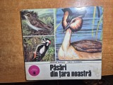 carte pentru copii - pasari din tara noastra - din anul 1978