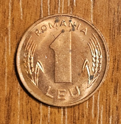 1 leu 1994, Romania foto