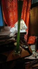 Vaza soliflora Rara Stangen foto